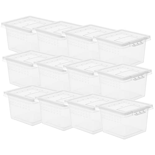 CIYODO Transparente Reptilien Futterbox Aus Kunststoff Leicht Und Robust Für Kleine Reptilien Und Insekten von CIYODO