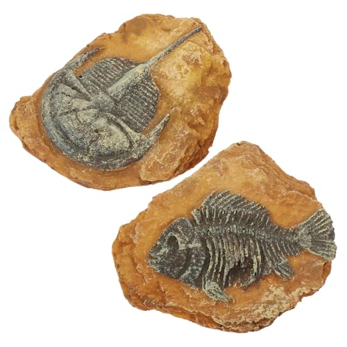 CIYODO Krabbeln Box Ornamente Schlange Reptil Decor Kreative Landschaft Terrarium Set CIYODO Krabbeln Box Ornamente Schlange Reptil Decor Kreative Landschaft Terrarium Set von CIYODO
