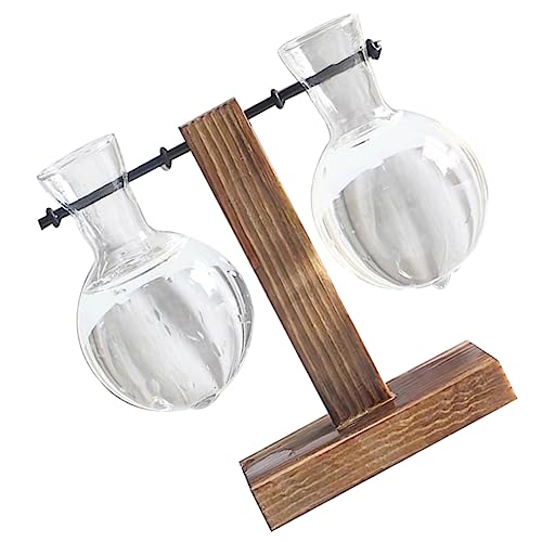 CIYODO 2St Pflanzenterrarium mit Holzständer zimmerpflanzen für den einzug freshair Pflanzentopf für drinnen Luft Anlage Vase hydroponische Pflanzen Pflanzknolle hölzern von CIYODO