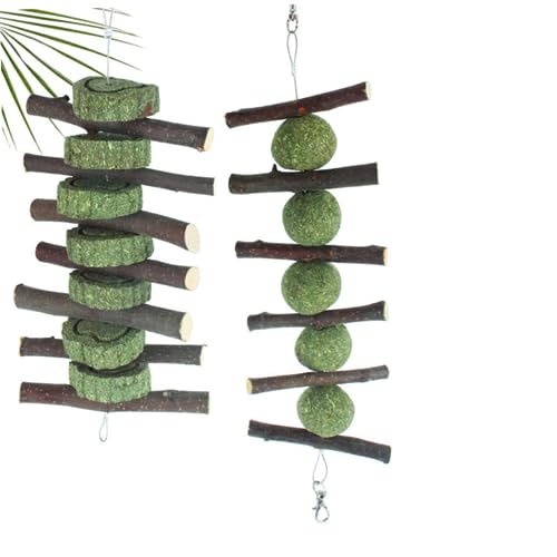 CIYODO 2stücke Kaninchen Kauspielzeug Mit Schleifgrasschnur Und Graskuchen Für Zähneknirschen-Spielzeug Grasschnur Für Hasen Und Pflanzenfresser von CIYODO