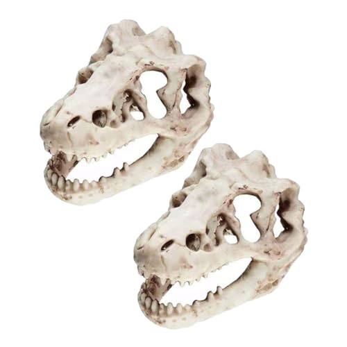 CIYODO 2Stücke Aquarium Dinosaurierschädel Dekoration Harz Unterwasserhandwerk Für Schmuckfischtank Für Aquariengestaltung Und Kreative Aquascaping von CIYODO