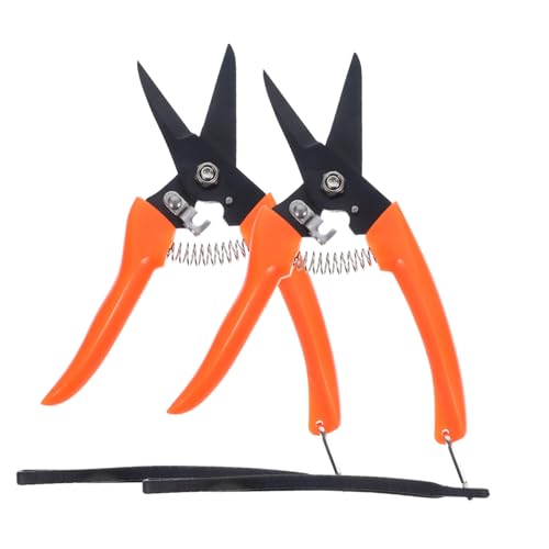 CIYODO 2stücke Nagelclipper Hufschneider Für Ziegen Hufschere Für Rinder Und Pferde Hufbeschlagwerkzeug Gartenarbeit Pruner Bequem Trimmen Schere Edelstahl CIYODO 2stücke Nagelclipper Hufschneider Für Ziegen Hufschere Für Rinder Und Pferde Hufbeschlagwerkzeug Gartenarbeit Pruner Bequem Trimmen Schere Edelstahl von CIYODO