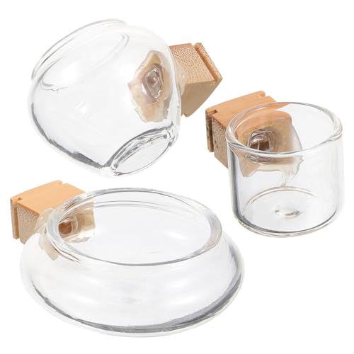CIYODO 3 Stück Glasfuttermittelhersteller Futterspender Wasser Gericht Trinken geformt Vogelkäfig Organisator für Papageienfutter Papageienfutterbecher Bambus CIYODO 3 Stück Glasfuttermittelhersteller Futterspender Wasser Gericht Trinken geformt Vogelkäfig Organisator für Papageienfutter Papageienfutterbecher Bambus von CIYODO