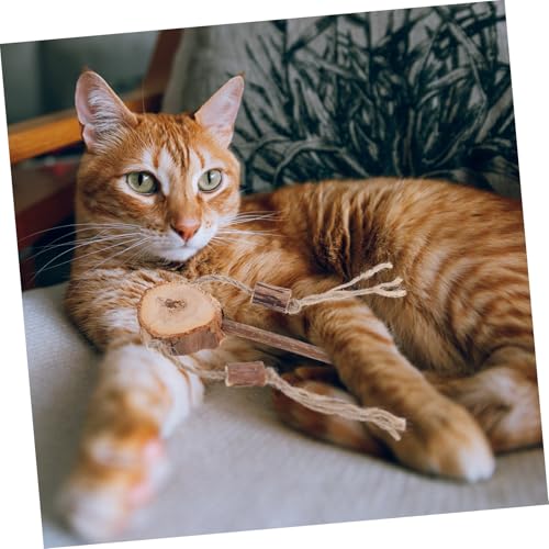 CIYODO 3 Stück Teiliges Katzenspielzeug Interaktiv Robust für Kätzchen und Katzen zur Zahnreinigung und Spielspaß zur Stressreduktion und Stärkung der Bindung CIYODO 3 Stück Teiliges Katzenspielzeug Interaktiv Robust für Kätzchen und Katzen zur Zahnreinigung und Spielspaß zur Stressreduktion und Stärkung der Bindung von CIYODO