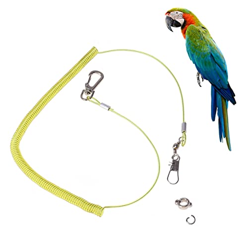 CIYODO 3 elastische Papageienleine für Vögel Trainingsseil für einstellbar Vogelseile für Käfige Lanyard Geschirr Reisen Vogelflugtraining Vogelflug-Trainingsseil Vogelleine von CIYODO