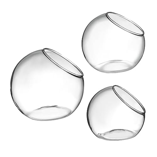 CIYODO 3Stücke Glasterrarium Ökologische Flaschenpflanze für Saftige Pflanzen für Tischdekoration und Landschafts DIY Moospflanzenbehälter CIYODO 3Stücke Glasterrarium Ökologische Flaschenpflanze für Saftige Pflanzen für Tischdekoration und Landschafts DIY Moospflanzenbehälter von CIYODO