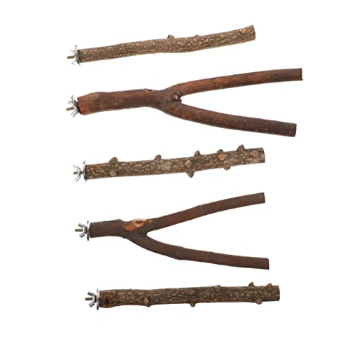 CIYODO 5stücke Teiliges Holzstandstangen Für Vögel Papagei Spielzeug Kletterstangen Aus Blumenpfefferholz Für Käfige Klettern Und Spielen Für Wellensittiche Und Nymphensittiche von CIYODO