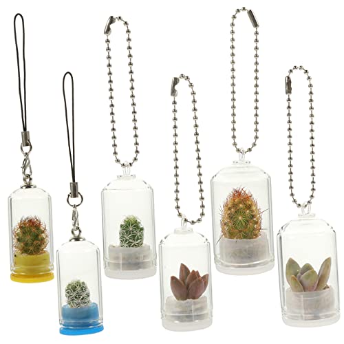CIYODO Miniatur-vase- Schlüsselanhänger Hängender Pflanzenhalter Für Luftpflanzen Dekoratives Glasterrarium Tragbares CIYODO Miniatur-vase- Schlüsselanhänger Hängender Pflanzenhalter Für Luftpflanzen Dekoratives Glasterrarium Tragbares von CIYODO