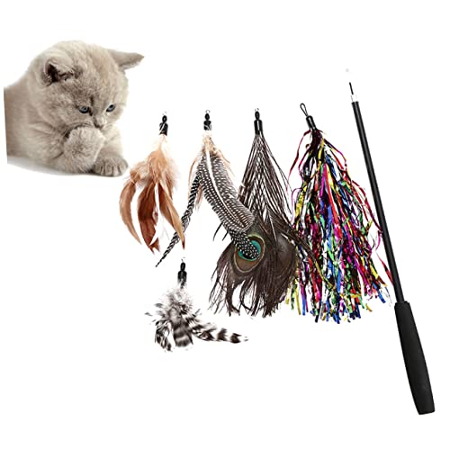 CIYODO 6er Satz Katzenangel Spielzeug Feder Teaser Sticks Für Katzen Interaktives Katzenspielzeug Mit Federn Zur Beschäftigung von CIYODO