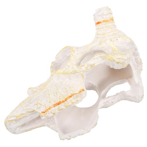 CIYODO Aquarium Dekoration Resin Büffelschädel Versteck Ornament Versteck für Fische Garnelen und Schildkröten Naturgetreues Terrarium Zubehör für Aquarium und CIYODO Aquarium Dekoration Resin Büffelschädel Versteck Ornament Versteck für Fische Garnelen und Schildkröten Naturgetreues Terrarium Zubehör für Aquarium und von CIYODO