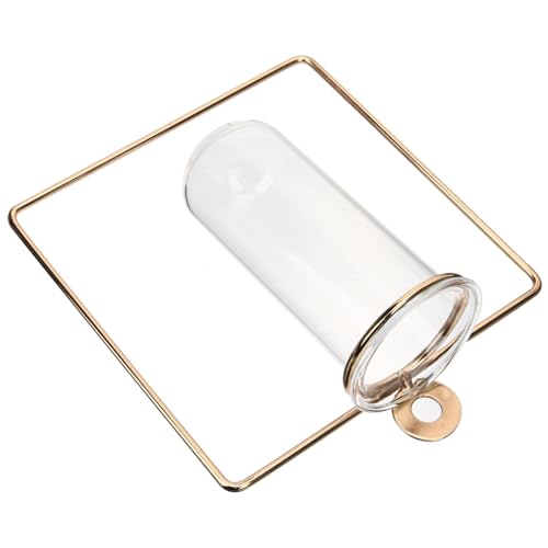 CIYODO Glas-wandvase Für Pflanzenvermehrung Wandbehang Dekoration Innenbereich Heimdekoration Bunte Wandvase Für Blumen von CIYODO