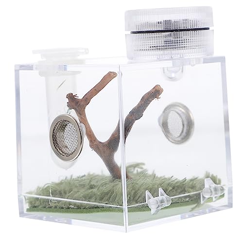 CIYODO Habitatbox Klein Mit Lampe Luftbefeuchter Und Easy-Feeding-zubehör 2-teilig von CIYODO