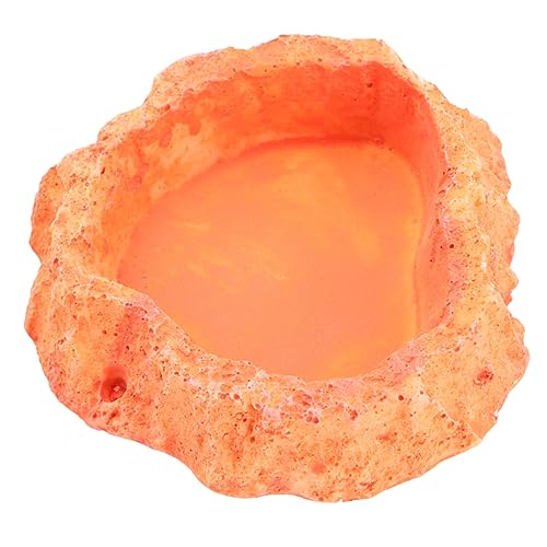CIYODO Food Pot Futternapf für Reptilien Schüsseln Food Bowl Reptilien-Wassernapf Becken Wassernapf für Reptilien Wasserschale kriechender Futternapf Orange CIYODO Food Pot Futternapf für Reptilien Schüsseln Food Bowl Reptilien-Wassernapf Becken Wassernapf für Reptilien Wasserschale kriechender Futternapf Orange von CIYODO