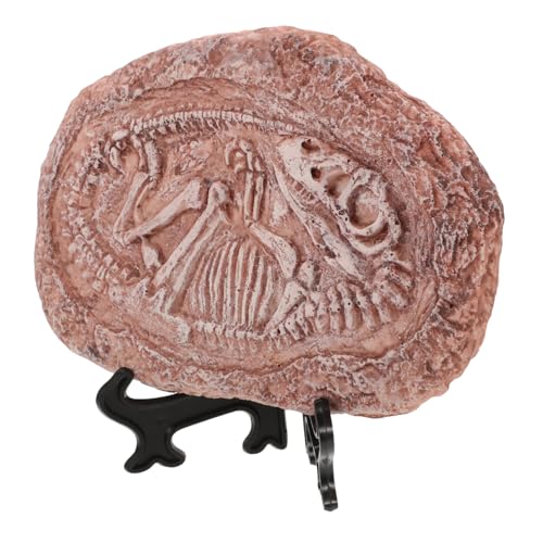 CIYODO Fossil Dekoration Simuliertes Trilobiten Fossil aus Resin für Terrarien Einzigartiges Sammlerstück Stilvolle Tischdekoration für Freunde CIYODO Fossil Dekoration Simuliertes Trilobiten Fossil aus Resin für Terrarien Einzigartiges Sammlerstück Stilvolle Tischdekoration für Freunde von CIYODO