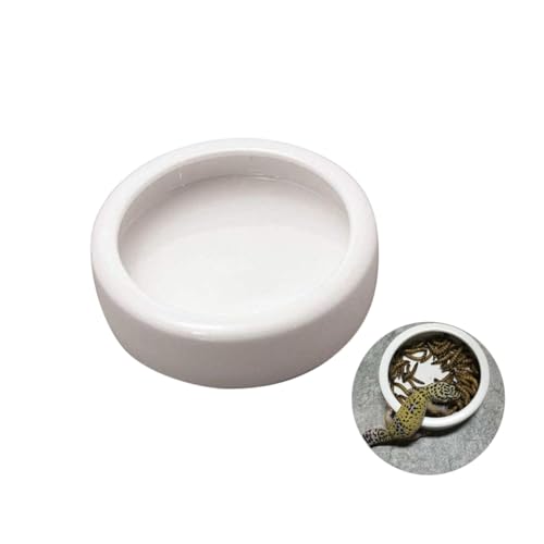 CIYODO Futternapf Beweisschale entkommen Schüssel Wassernapf für Reptilien Bartagamen-Accessoire tierfutter pet Supplies Futterbecken für Garnelen Keramik Essen runde Geschirr Weiß von CIYODO