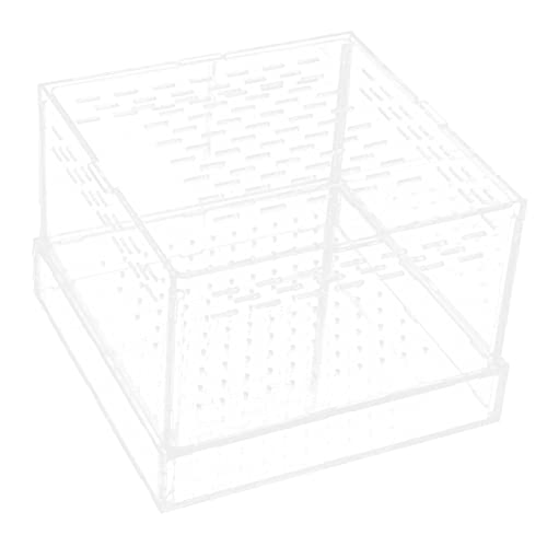 CIYODO Gerstenwurm -fütterungsbox Spinnen -Terrarium Reptil Zubehör Für Schlangengehege Gecko Behälter Für Mehlwürmer Insekten -Terrarium Mahlzeitwürmer Habitatbehälter Acryl Transparent von CIYODO