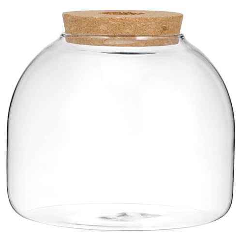 CIYODO Mooslandschaft Terrarium Dekorativer Glasbehälter Mit Hydrokulturpflanzen Für Zuhause von CIYODO