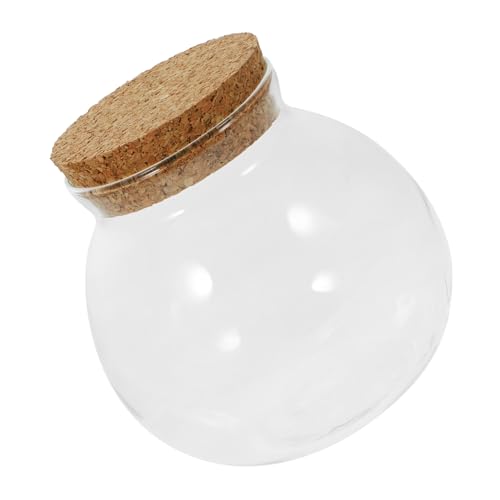 CIYODO Glasflasche für Mikrolandschaft Ökologische Terrarium Dekoration mit Korkdeckel für Pflanzen und Transparent Langlebig von CIYODO