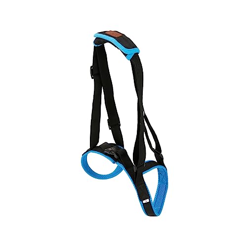 CIYODO Treppensteighilfe für Die Hinterbeine Von Hunden Netzstoff Bequem für Ältere Hunde CIYODO Treppensteighilfe für Die Hinterbeine Von Hunden Netzstoff Bequem für Ältere Hunde von CIYODO