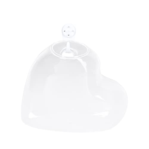 CIYODO Hängender Glasblumentopf für Hydrokultur Wanddeko Selbstbewässernder Pflanzenbehälter Transparentes Terrarium für Wohn und Büroräume für Landschaften und Blumenarrangements von CIYODO