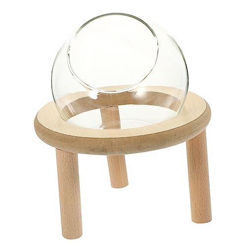 CIYODO Badewanne für Hamster verschleißfest leicht zu reinigen Haushaltszubehör CIYODO Badewanne für Hamster verschleißfest leicht zu reinigen Haushaltszubehör von CIYODO