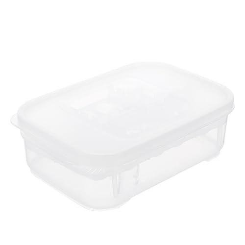 CIYODO Kasten Eierkubator Gecko Inkubation Schlange Reptilienthermostat Reptilien Inkubator Zucht Inkubatoren Für Schraffur Container Klein Groß Aquarienstall Plastik Transparent von CIYODO