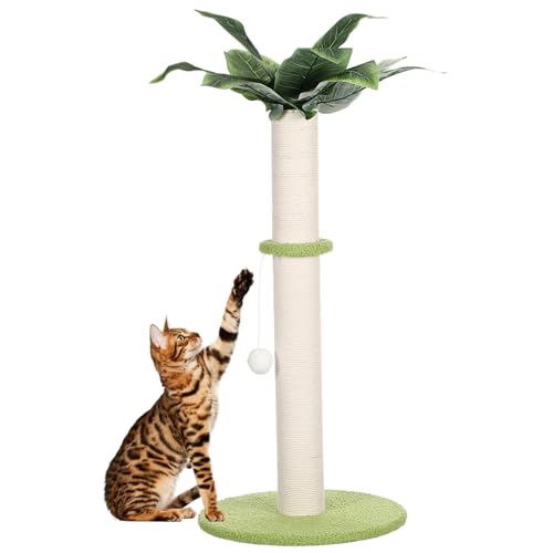 CIYODO Katzenspielzeug Katzenspiele Baum Ball drinnen katzenturm Katzen Turm Katzen Katzen spielsachen dekorativer Katzenkratzer Krallenschleifpfosten für Katzen Stoff CIYODO Katzenspielzeug Katzenspiele Baum Ball drinnen katzenturm Katzen Turm Katzen Katzen spielsachen dekorativer Katzenkratzer Krallenschleifpfosten für Katzen Stoff von CIYODO