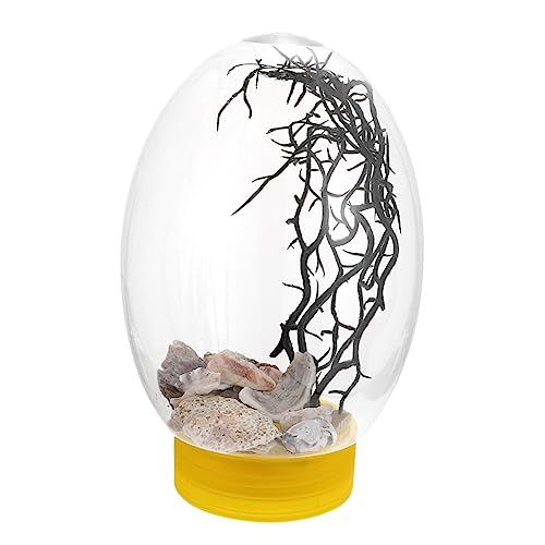 CIYODO Kleines Aquarium mit LED Beleuchtung Transparenter Batteriebetrieben Leicht zu Reinigen und Lagern für Kleine Goldfische und Pflanzen Dekorativer Mini Fischtank für Schreibtisch CIYODO Kleines Aquarium mit LED Beleuchtung Transparenter Batteriebetrieben Leicht zu Reinigen und Lagern für Kleine Goldfische und Pflanzen Dekorativer Mini Fischtank für Schreibtisch von CIYODO