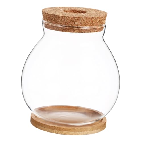CIYODO Kleines Hydroponisches Aquarium mit Holzdeckel Mini Terrarium Fischschale Klarglas Fischbecken für Betta Schreibtisch Dekoration Zuhause und Büro Einfach zu Reinigen Design CIYODO Kleines Hydroponisches Aquarium mit Holzdeckel Mini Terrarium Fischschale Klarglas Fischbecken für Betta Schreibtisch Dekoration Zuhause und Büro Einfach zu Reinigen Design von CIYODO