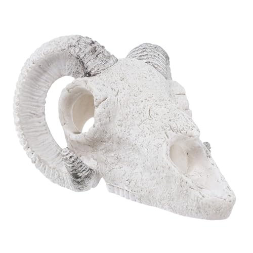 CIYODO Künstlicher Schädel für Aquarium Dekorative Versteckhöhle für Fische und Reptilien Sicheres Unterschlupf Accessoire für Terrarien Halloween Dekoration Großes Design CIYODO Künstlicher Schädel für Aquarium Dekorative Versteckhöhle für Fische und Reptilien Sicheres Unterschlupf Accessoire für Terrarien Halloween Dekoration Großes Design von CIYODO