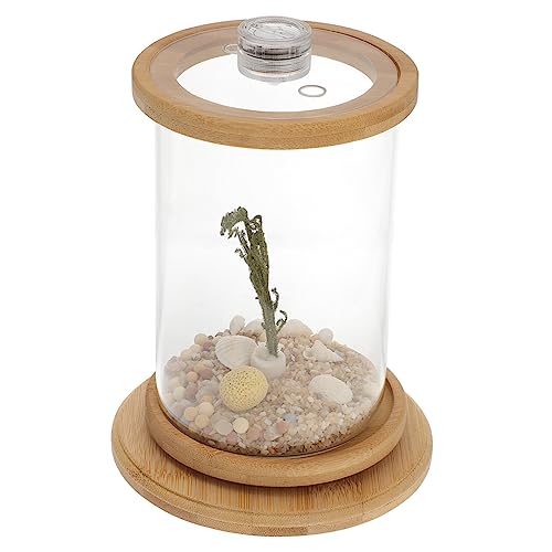 CIYODO Luxus 1 Set Desktop Aquarium Tank Fisch Schüssel Ornament Für Home Office Decor von CIYODO
