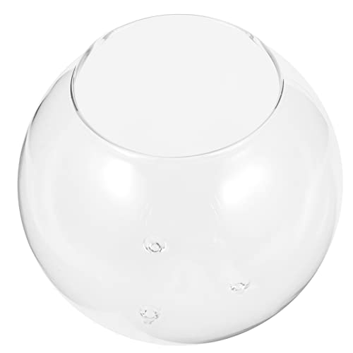 CIYODO Micro-landschaftsvase Fischfutter Schüssel Vasen Aquarienlicht Aquarium Fischtankdekor Fischzubehör Obstschale Zubehör Für Aquarien Transparente Aquarienschale Anlage Luft Glas von CIYODO