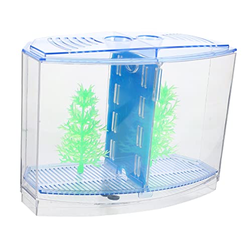 CIYODO Mini Aquarium LED Fischzucht Tank Transparent Desktop Aquarium Doppelkammer Multifunktional für Garnelen Schildkröten und Pflanzen Einfach zu Reinigen Platzsparend Dekorativ für CIYODO Mini Aquarium LED Fischzucht Tank Transparent Desktop Aquarium Doppelkammer Multifunktional für Garnelen Schildkröten und Pflanzen Einfach zu Reinigen Platzsparend Dekorativ für von CIYODO