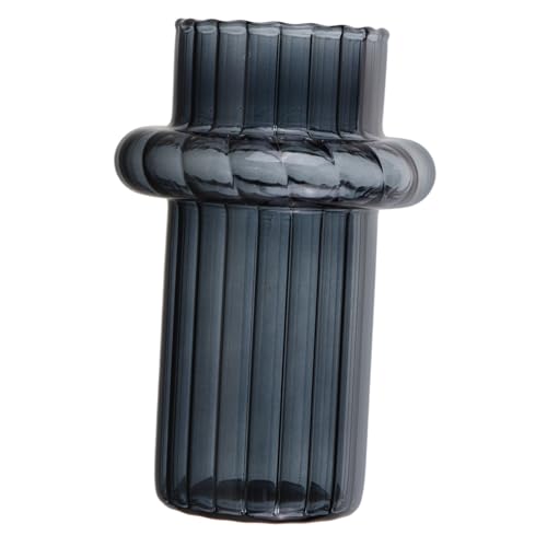 CIYODO Rauchgraue Vase blumengesteck Geburtstagsgeschenk dekorative Kunstblumen Herzstück Einer Tischvase Hydrokulturvase aus Glas Halter für Blumenkunst Glas mit hohem Borosilikatgehalt CIYODO Rauchgraue Vase blumengesteck Geburtstagsgeschenk dekorative Kunstblumen Herzstück Einer Tischvase Hydrokulturvase aus Glas Halter für Blumenkunst Glas mit hohem Borosilikatgehalt von CIYODO