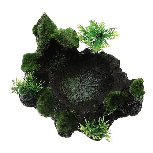 CIYODO Reptilien Futterschale aus Kunstharz Imitation Futter und Wasserschale für Schildkröten Geckos und Kleine Reptilien und Sicher für Terrarien CIYODO Reptilien Futterschale aus Kunstharz Imitation Futter und Wasserschale für Schildkröten Geckos und Kleine Reptilien und Sicher für Terrarien von CIYODO