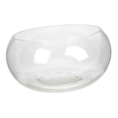 CIYODO Runde Fischschale Hydroponischer Pflanzentopf Transparent Dekorativ für Goldfisch Schildkröte Büro Wohnzimmer Aquarium Deko von CIYODO