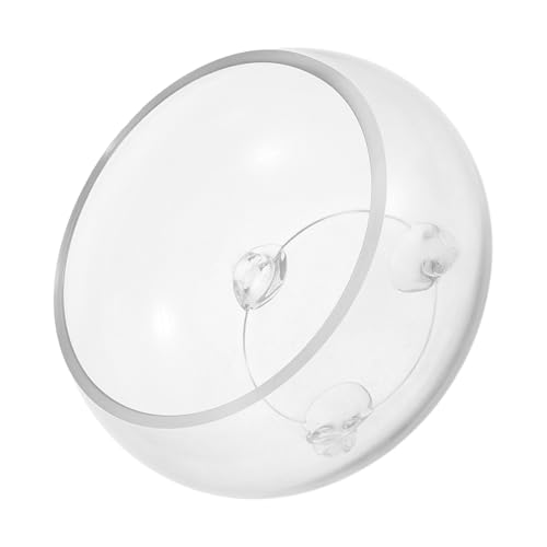 CIYODO Runde Glasfischschüssel Terrarium Pflanzgefäß für Betta Fische Hydroponische Pflanzen Dekorative Vase für Zuhause Büro Hochzeiten und Besondere Anlässe CIYODO Runde Glasfischschüssel Terrarium Pflanzgefäß für Betta Fische Hydroponische Pflanzen Dekorative Vase für Zuhause Büro Hochzeiten und Besondere Anlässe von CIYODO