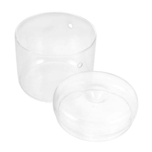 CIYODO Terrarium für Moos Transparenter Pflanzenbehälter DIY Ökologischer Glasflaschengarten Dekorative Mikrolandschaft mit Vielseitige Vase für Tischdekoration von CIYODO