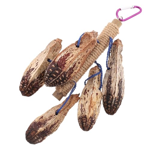 CIYODO Hängendes Papageienspielzeug aus Natürlichem Holz Bissfestes Kauspielzeug für Vögel für Sittiche und Papageien Nahrungssuche Spielzeug im Käfig von CIYODO