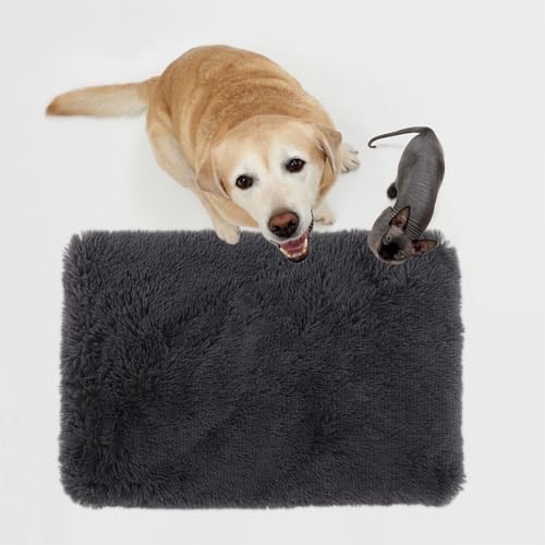 CIYODO Weiches Waschbares Hundebett und Katzenmatte aus Langflorigem Plüsch Warmes Haustier Sofa Kissen für Kleine Hunde und Katzen für Winter und Reisen von CIYODO