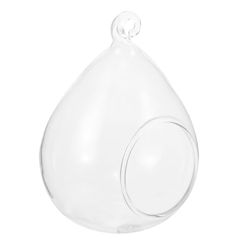 CIYODO Luftpflanze Glas Pflanzer Große Öffnung Wandbehang Terrarium Freunde Familie von CIYODO