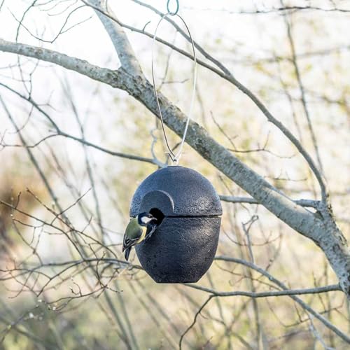 CJ Wildlife - Malaga Woodstone Nistkasten 32mm - Schwarz - 10 Jahre Garantie - FSC-zertifiziertes Holz - Von NABU empfohlen CJ Wildlife - Malaga Woodstone Nistkasten 32mm - Schwarz - 10 Jahre Garantie - FSC-zertifiziertes Holz - Von NABU empfohlen von CJ Wildlife