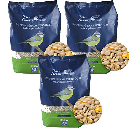 CJ Wildlife Wildvogelfutter Streufutter Hoch Energiemix - schalenfrei, Sparpack 3 x 2 kg CJ Wildlife Wildvogelfutter Streufutter Hoch Energiemix - schalenfrei, Sparpack 3 x 2 kg von CJ Wildlife