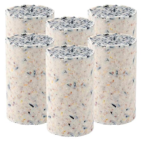 CJ Wildlife Energiekuchen - Saatkörner (6 x 500g) von Kidstinct
