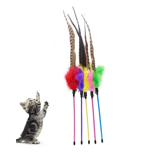 Katzenspielzeug mit Glocke und Federstab, interaktives Stick-Spiel, lustiges Spielzeug, Haustierzubehör – zufällige Farbe Katzenspielzeug mit Glocke und Federstab, interaktives Stick-Spiel, lustiges Spielzeug, Haustierzubehör – zufällige Farbe von CJFael