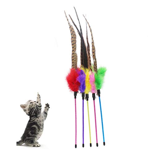 Katzenspielzeug mit Glocke und Federstab, interaktives Stick-Spiel, lustiges Spielzeug, Haustierzubehör – zufällige Farbe von CJFael