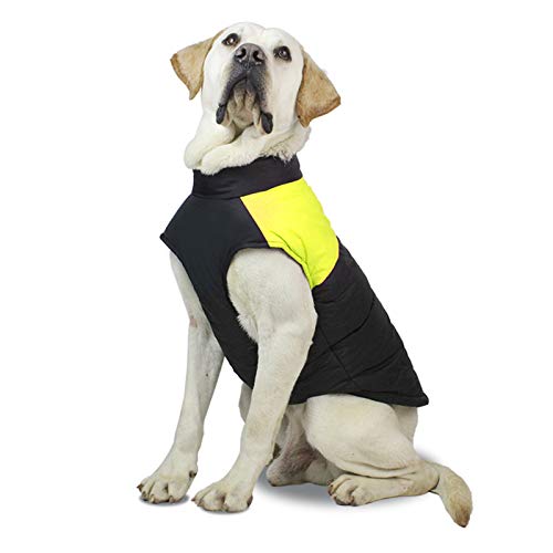 Winddichte Hundejacke mit D-förmigen Traktionsschnallen, Kleidung für kleine, mittelgroße und große Hunde, fluoreszierendes Grün, Größe L von CJFael