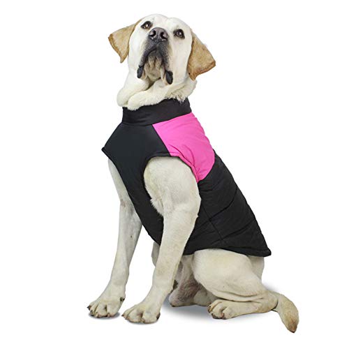 Winddichte Hundejacke mit Reißverschluss und D-förmigen Traktionsschnallen, Kleidung für kleine, mittelgroße und große Hunde, Größe L, Pink von CJFael