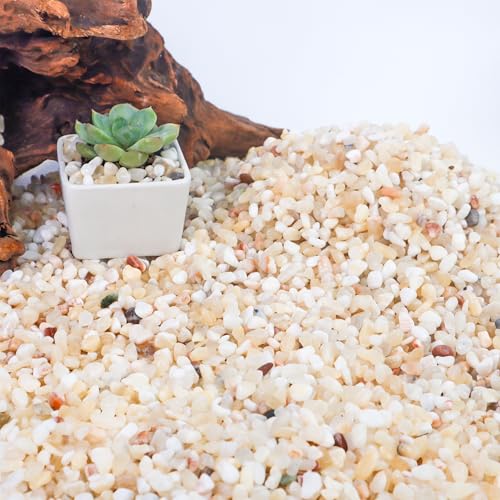 Aquarienkies für Pflanzen, 3,2 kg, natürliche, dekorative Flussfelsen für Sukkulenten und Kakteen, natürliche kleine Steine für Aquarien, Vasen und Terrarien von CJGQ