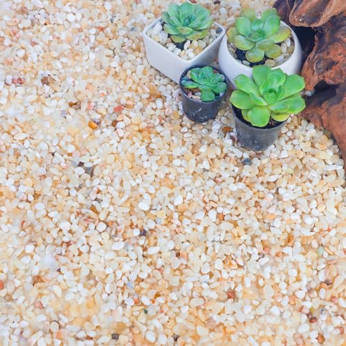 Aquarienkies für Pflanzen, 8,2 kg, natürliche, dekorative Flussfelsen für Sukkulenten und Kakteen, natürliche kleine Steine für Aquarien, Vasen und Terrarien Aquarienkies für Pflanzen, 8,2 kg, natürliche, dekorative Flussfelsen für Sukkulenten und Kakteen, natürliche kleine Steine für Aquarien, Vasen und Terrarien von CJGQ